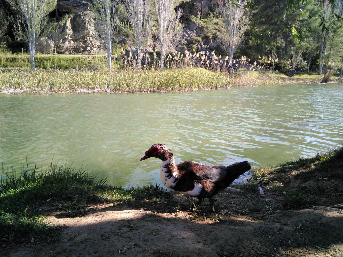 Adosado, Cerca De Valencia En Zona De Montana Y Playa Fluvial 빌라 외부 사진